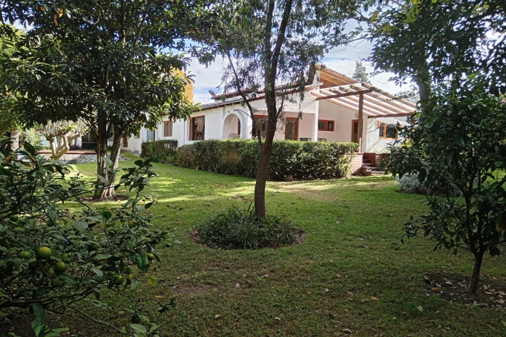 caupana_instalaciones_arboles_jardin